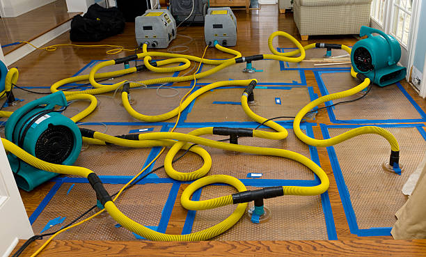 Professional Basement Flood Cleanup technician working in North Hampton, NH